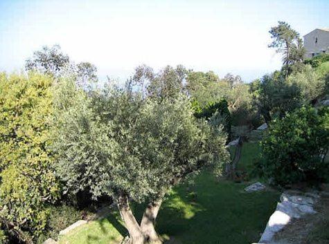 Villa Alamp#Supercannes #Golfejuan #Cannes #Mediterraneanpanoramicview #Piscine #Rooftop # Verymodern #Openliving #Closebeach #Closecapantibes Vallauris Exteriér fotografie